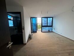 Palm Grove Avenue (D19), Terrace #497829771